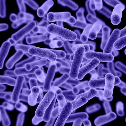 Microbiome Actives