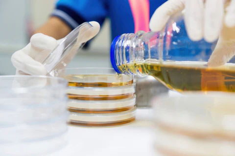 Microbial culture media